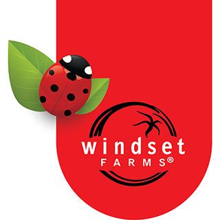 Windset Farms
