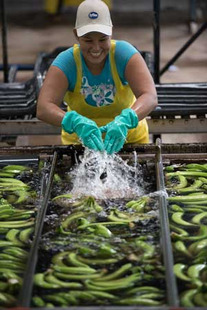 FYFFES
