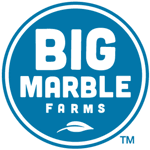 Big Marble Logo
