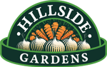 Hillside Logo Colour